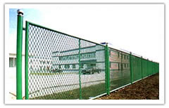 Wire Mesh Fences