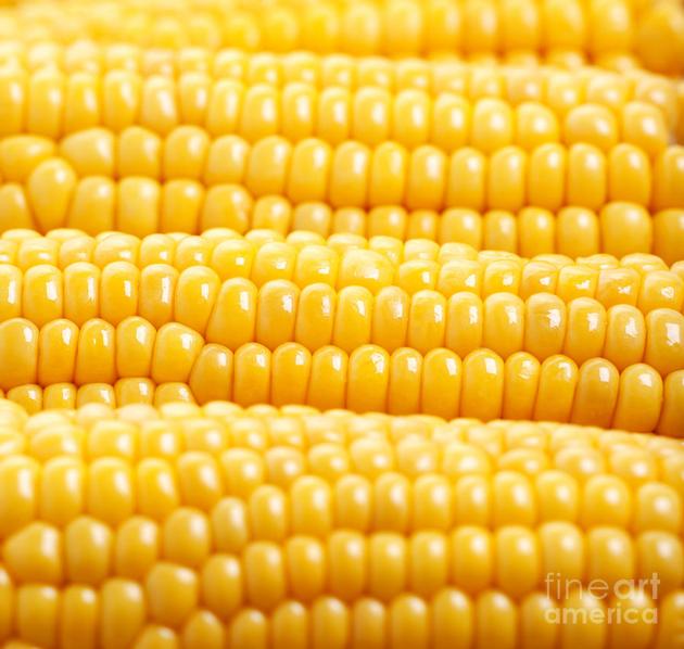 yellow corn 