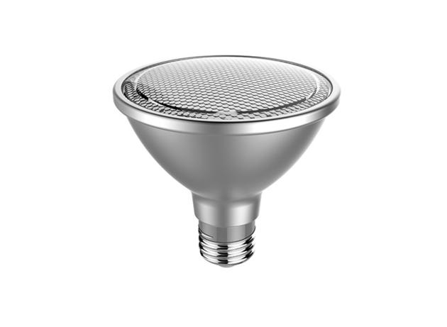 PAR30 Lamp