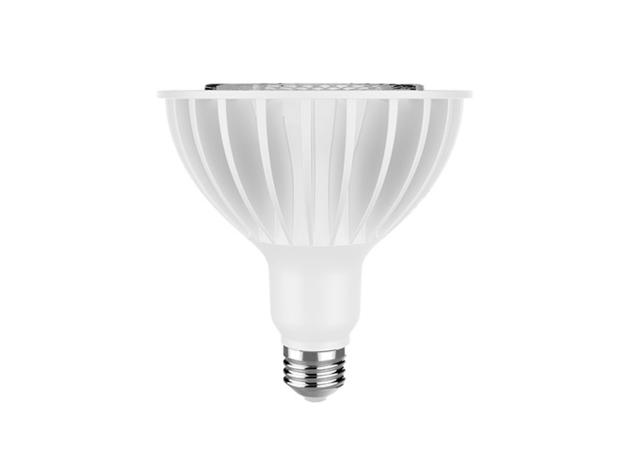 PAR38 Lamp