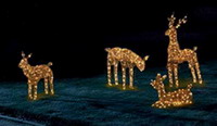 3D Reindeer Family,christmas lights,rope lights