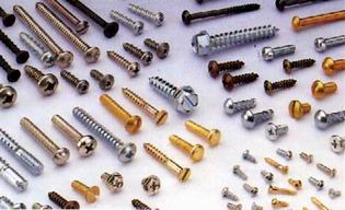 Screw