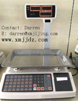 Electronic checkout scale for easy working