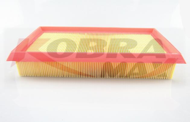 Kobra Max Air Filter 7701047417