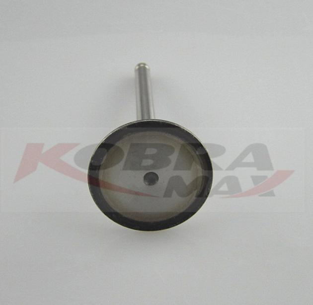 KOBRA-MAX INLET VALVE 4 PCS 7700273371