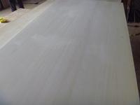 paulownia panels