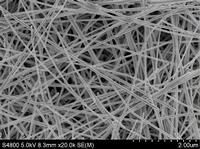 Silver Nanowire