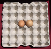 30 egg paper tray