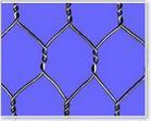 Gabion