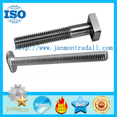 T bolt,T bolts,Special T bolt,Special T bolts,T type bolt,T type bolts,Steel T bolt,Steel T bolts