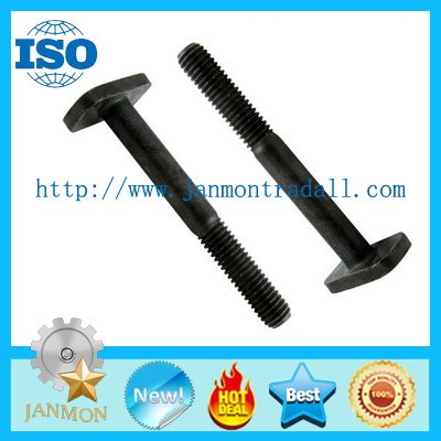 T bolts,Special T bolt,Special T bolts,T type bolt,T type bolts,Steel T bolt,Steel T bolts,T BOLTS