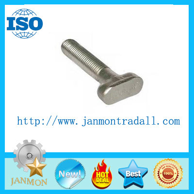 T type bolt,T type bolts,Steel T bolt,Steel T bolts,T head bolt,T head bolts,Hammer T head bolt