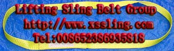 polyester webbing sling,endless sling