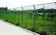 Chain Link Fence