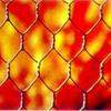 Hexagonal Wire Netting
