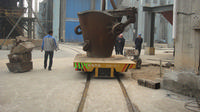 Motorized steerable transfer trolley