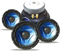 subwoofer - EEA200-05B