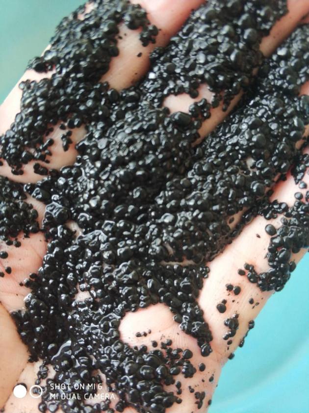 anaerobic granular activated sludge