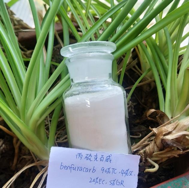 Fungicide Carbendazim + Thiram + Carbofuran 30% FS (10% +10% +10%) 1563-66-2