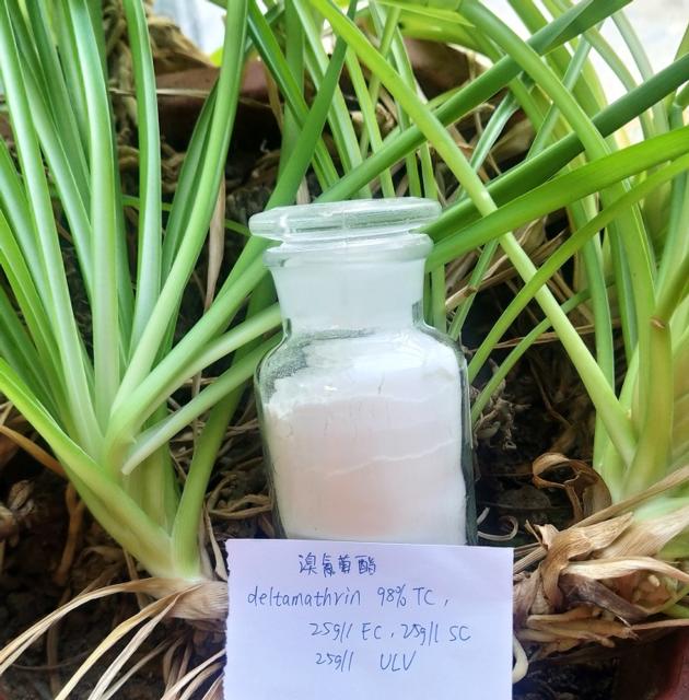 Pesticide/insecticide Deltamethrin 98%TC, 2.5%EC,25g 50g/l SC 52918-63-5