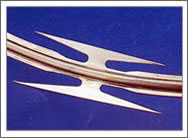 Razor Barbed Wire