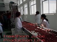 Hawthorn Juice Production Line