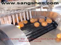 Fresh Mandarin Juice Production Line
