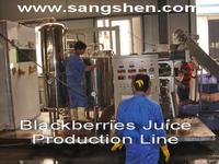 Blackberries Juice Production Line