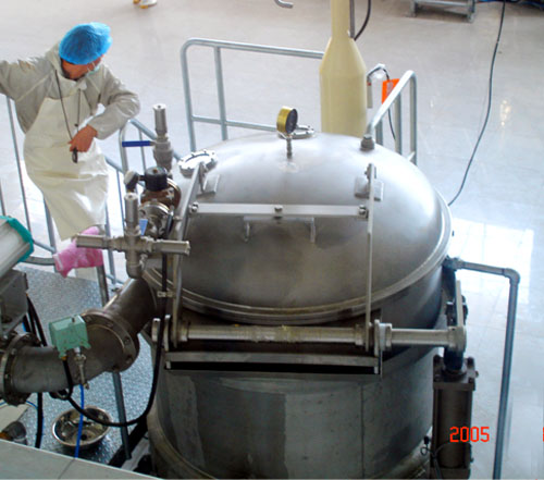 High quality automatic Pastinaca sativa/ radish crisps vacuum fryer