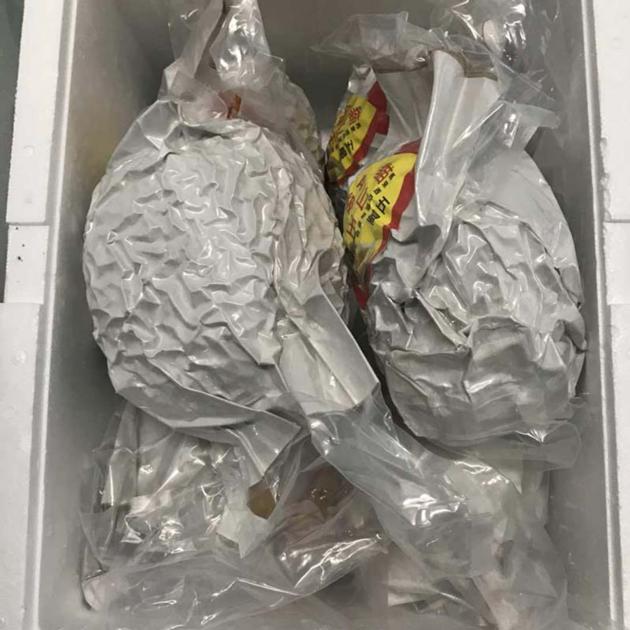 Blast Tuna Fish Cold Room