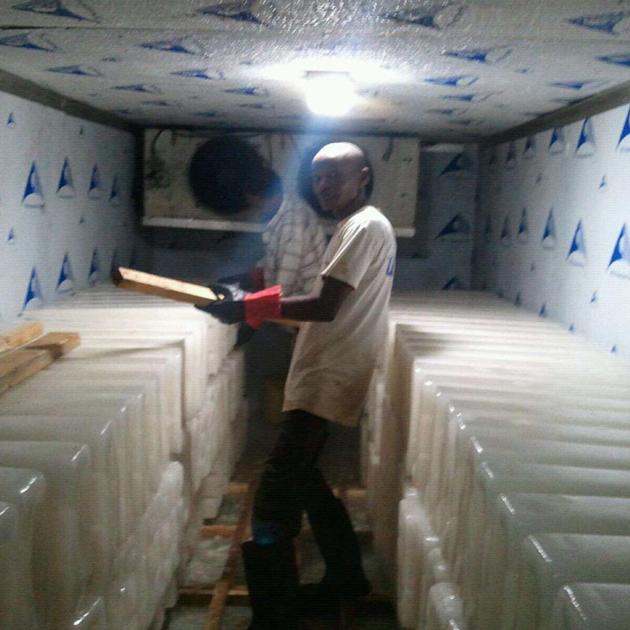  Fish Cold Room