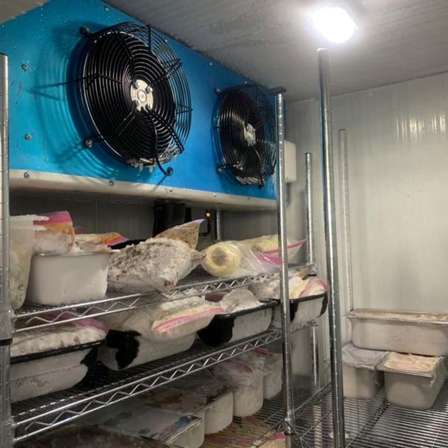  Meat Cold room