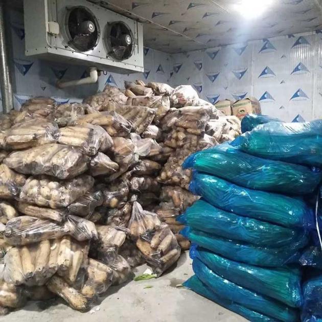 Vegetable Cold Room