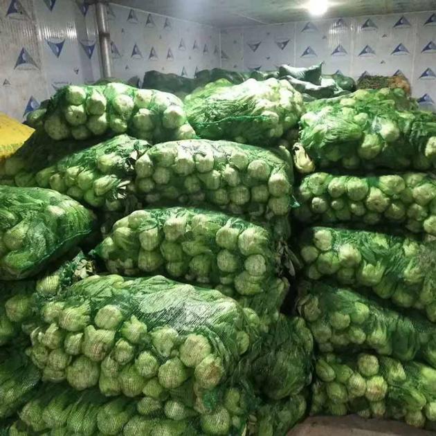 Vegetable Cold Room