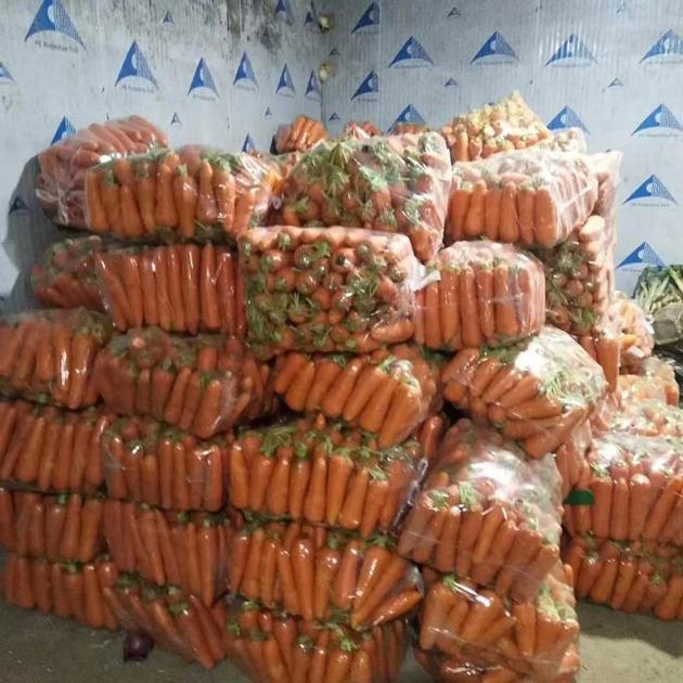  Vegetable Cold Room