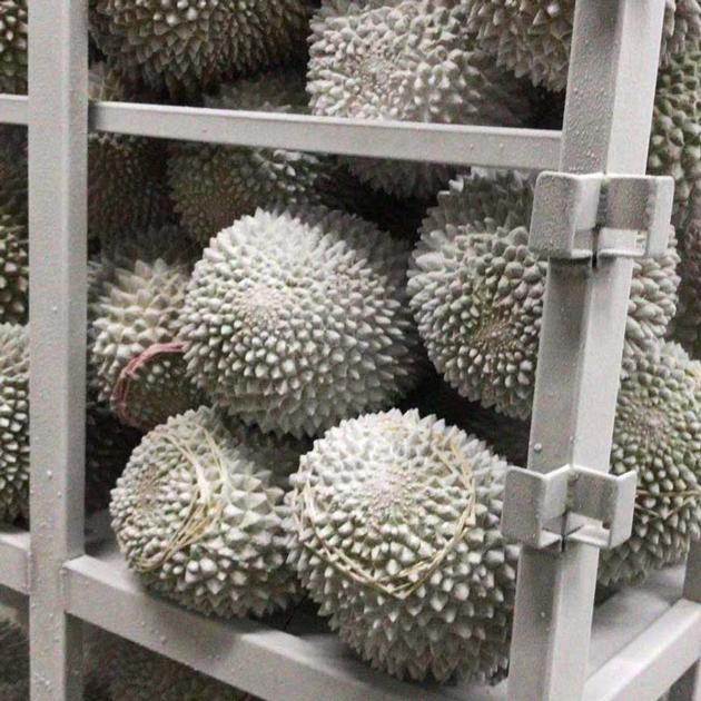 Cold Room For Onion