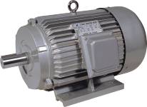 Electric Motor