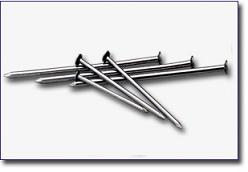 common wire nails/wire nails