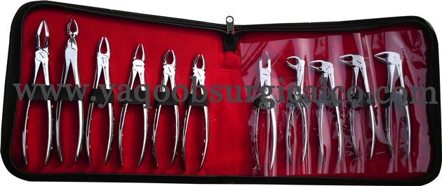 Dental Tooth Extracting Forceps English Pattern