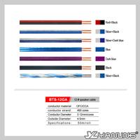 Speaker Cable (BTS-12GA)