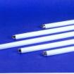 Tubular Fluorescent Lamps