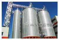 Steel Grain Silo for Storage