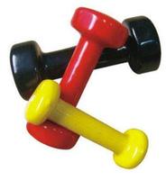 Dipping Dumbbell At Asiasporting.com 