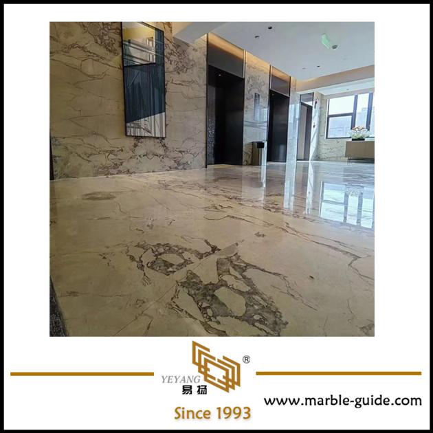 Luxury Burberry Grey Marble For Hotel