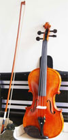 Violin