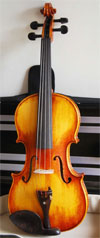Violin