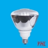 PAR38_Lamp