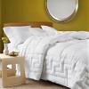 Suprize Crafted Comforter (CC001)