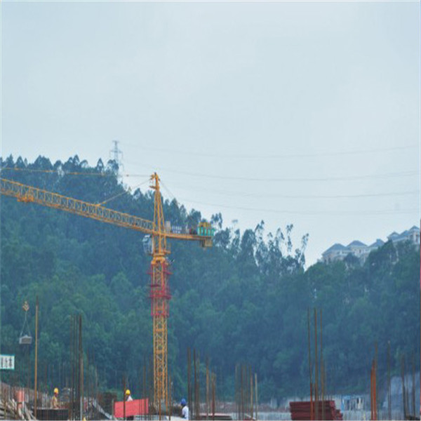 QTZ100(TC6513)Trustworthy Self Erecting FIxed Hydraulic Construction Building Tower Crane