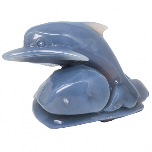 Crystal Dolphin